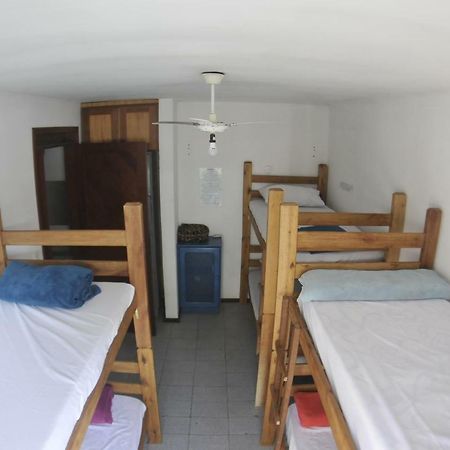 Gokai Hostel Florianópolis 外观 照片